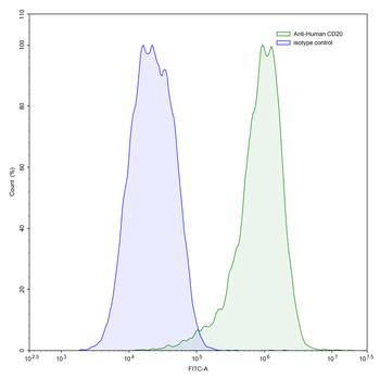 CD20/MS4A1 Mouse Monoclonal Antibody