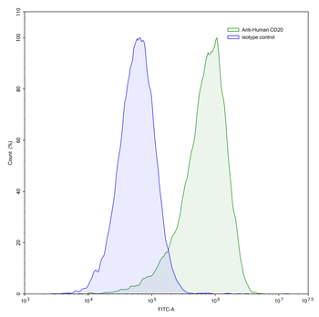 CD20/MS4A1 Mouse Monoclonal Antibody