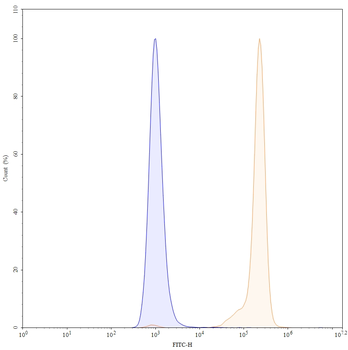 CD147/BSG Human Monoclonal Antibody