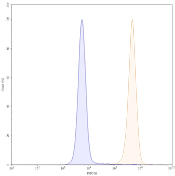 CD13/ANPEP Mouse Monoclonal Antibody