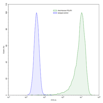 FOLR1 Human Monoclonal Antibody