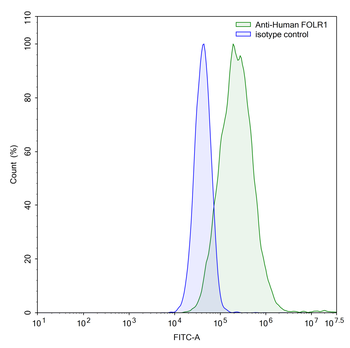 FOLR1 Human Monoclonal Antibody