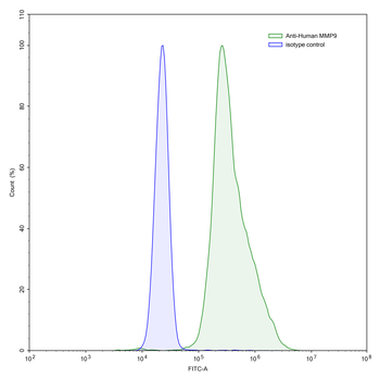 MMP9 Human Monoclonal Antibody