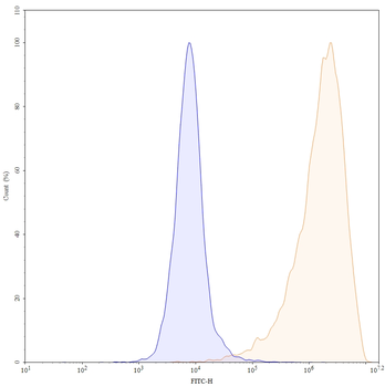 MSLN Mouse Monoclonal Antibody
