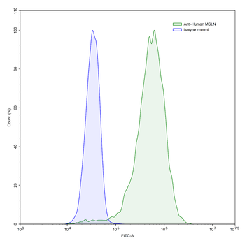MSLN Mouse Monoclonal Antibody