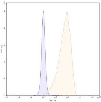 ROR2/NTRKR2 Mouse Monoclonal Antibody