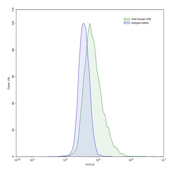 VIM/Vimentin Human Monoclonal Antibody
