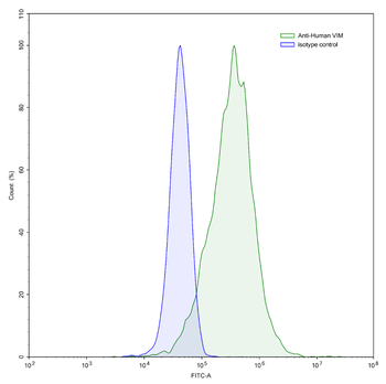 VIM/Vimentin Human Monoclonal Antibody