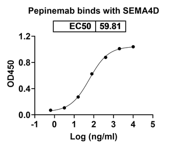 CD100/SEMA4D Human Monoclonal Antibody