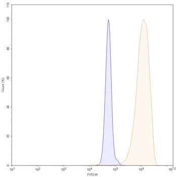 TSLP Human Monoclonal Antibody