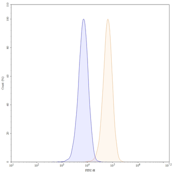 CD71/TFRC Human Monoclonal Antibody