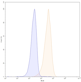 CD71/TFRC Human Monoclonal Antibody