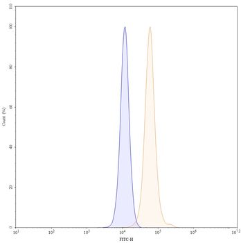 MAPT/Tau/PHF-tau Human Monoclonal Antibody