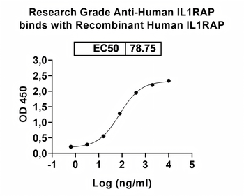IL1RAP Human Monoclonal Antibody