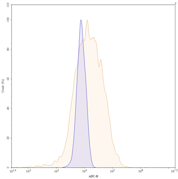 BD0801 Human Monoclonal Antibody