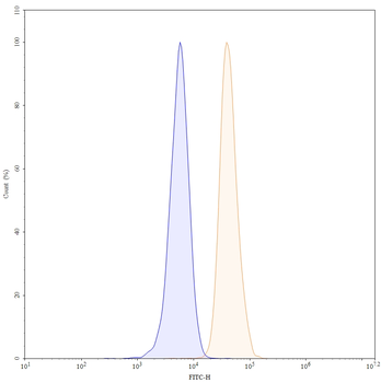 SIRPα / γ Human Monoclonal Antibody