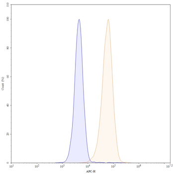 Ifinatamab Human Monoclonal Antibody