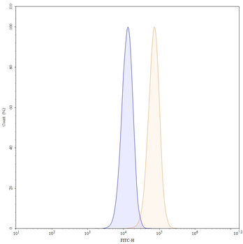 Ifinatamab Human Monoclonal Antibody