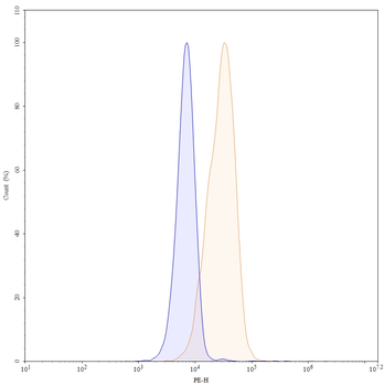 Ifinatamab Human Monoclonal Antibody