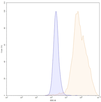 Amivantamab Human Monoclonal Antibody
