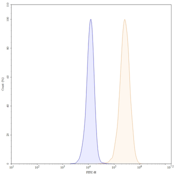 Amivantamab Human Monoclonal Antibody