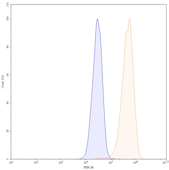 Margetuximab Chimeric Monoclonal Antibody
