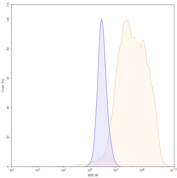 Teprotumumab Human Monoclonal Antibody