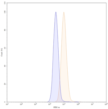 Pertuzumab Human Monoclonal Antibody