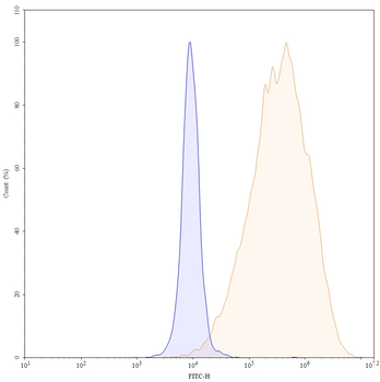Alemtuzumab Human Monoclonal Antibody