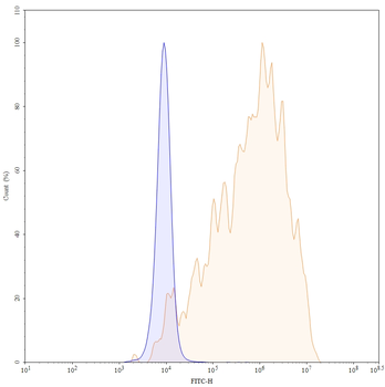 Datopotamab Human Monoclonal Antibody