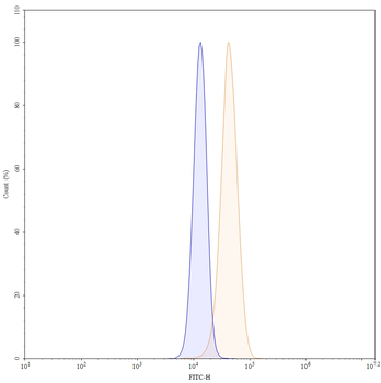 Nipocalimab Human Monoclonal Antibody