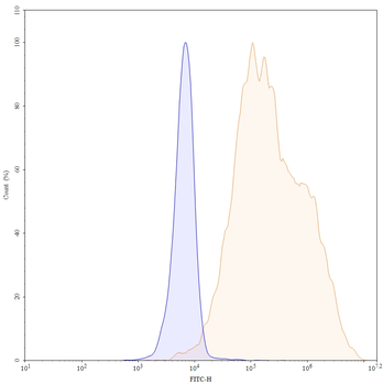 Patritumab Human Monoclonal Antibody