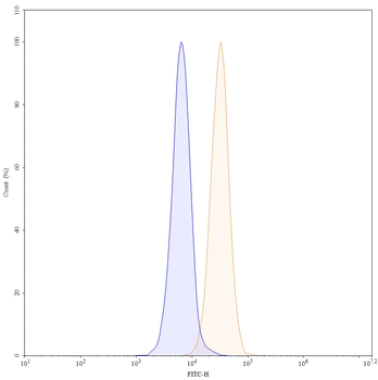 Adebrelimab Human Monoclonal Antibody