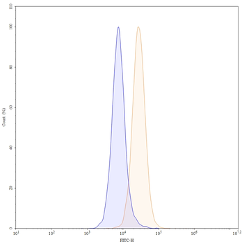 Manelimab Human Monoclonal Antibody