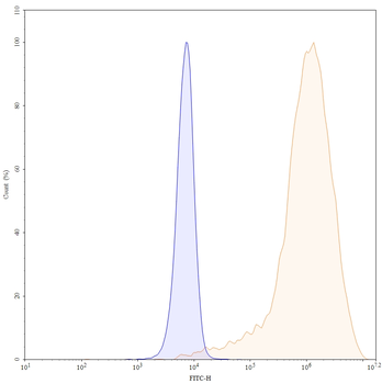 Cosibelimab Human Monoclonal Antibody