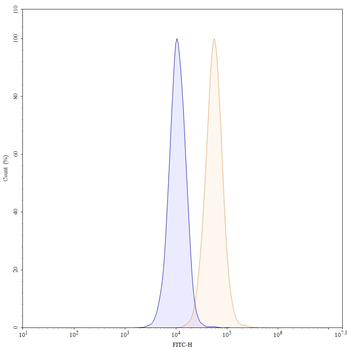 Ravagalimab Human Monoclonal Antibody