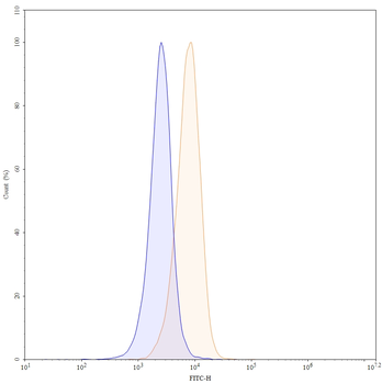Iratumumab Human Monoclonal Antibody