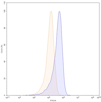 Human CD86/B7-2 Antibody