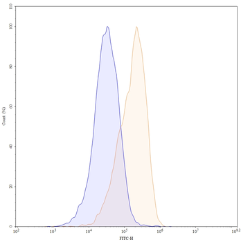 Human CD19 Antibody