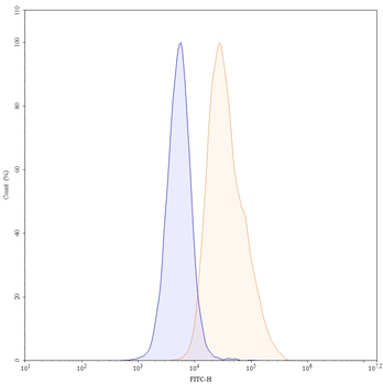 Human CD16a/FCGR3A Antibody