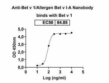 Bet v 1/Allergen Bet v I-A Nanobody Antibody