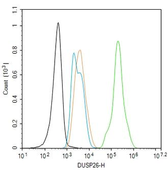 DUSP26 Rabbit Polyclonal Antibody
