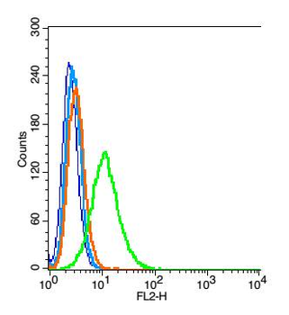 Kidins220 Rabbit Polyclonal Antibody