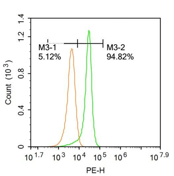 ABCG1 Rabbit Polyclonal Antibody