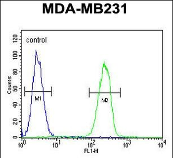 HPGD Rabbit Polyclonal Antibody