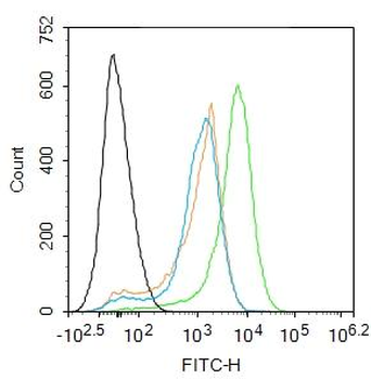 ASC/TMS1 Rabbit Polyclonal Antibody