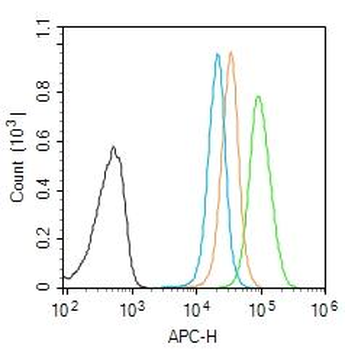 HSD17B6 Rabbit Polyclonal Antibody