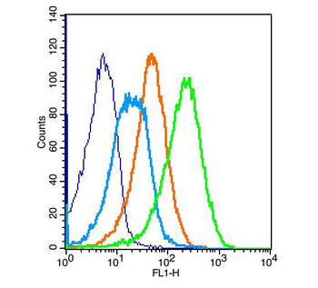 ADRB2 Rabbit Polyclonal Antibody