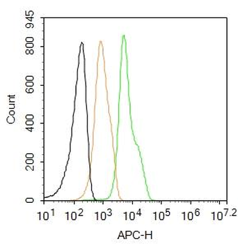 Integrin beta 1 Rabbit Polyclonal Antibody (APC)