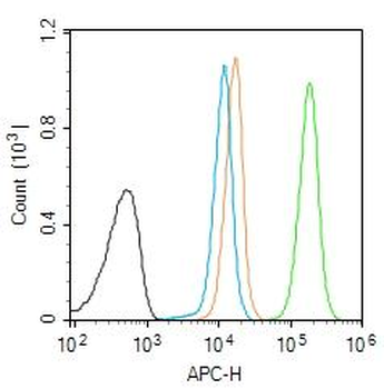 KLLN Rabbit Polyclonal Antibody